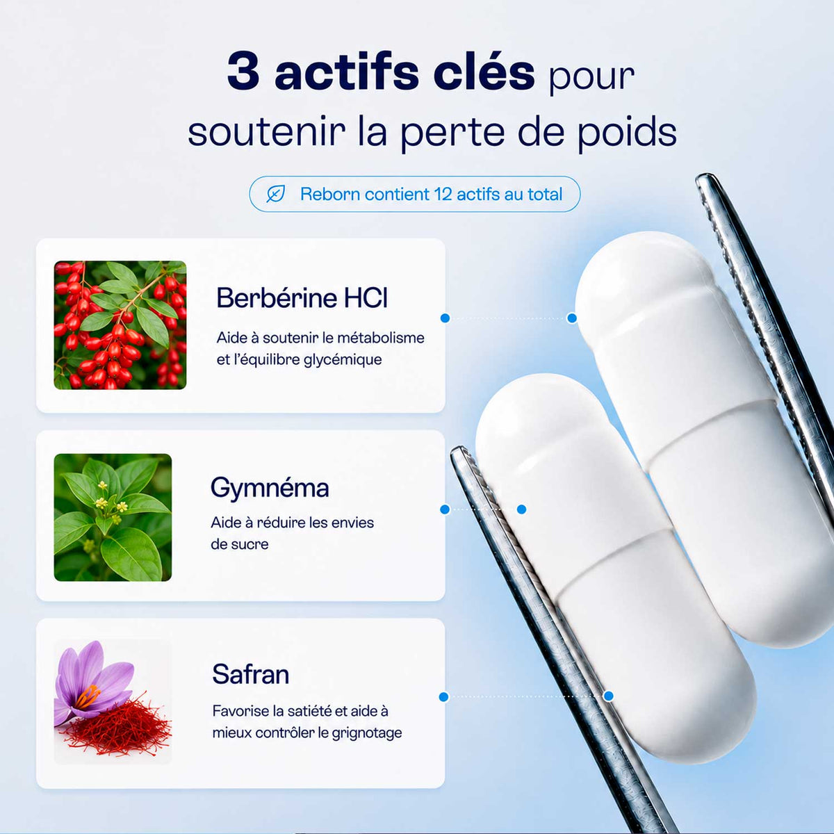 Reborn™ | Quand les hormones bloquent la perte de poids
