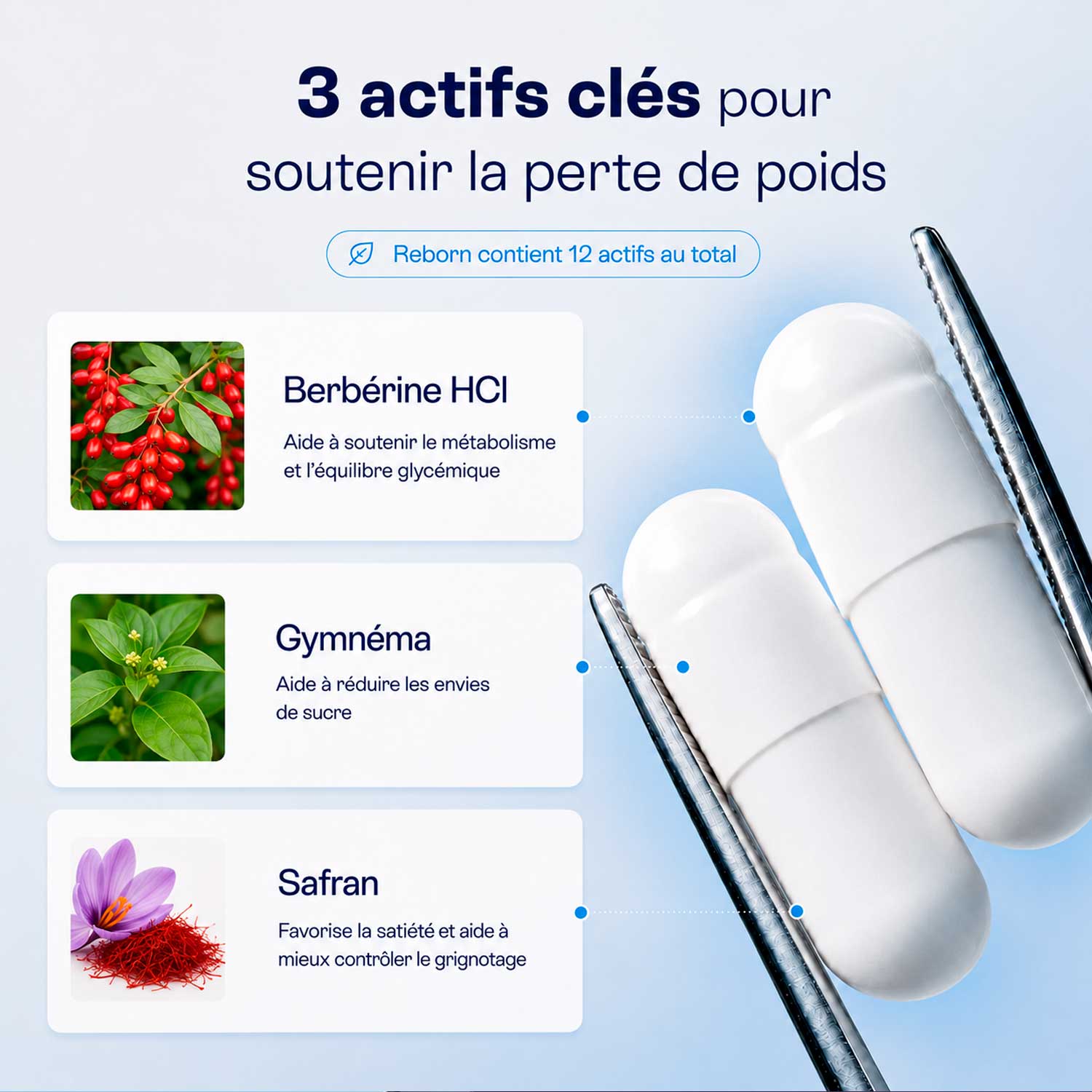 Reborn™ | Quand les hormones bloquent la perte de poids